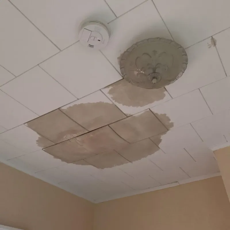 Ceiling Water Damage Repair in Starbuck, MN