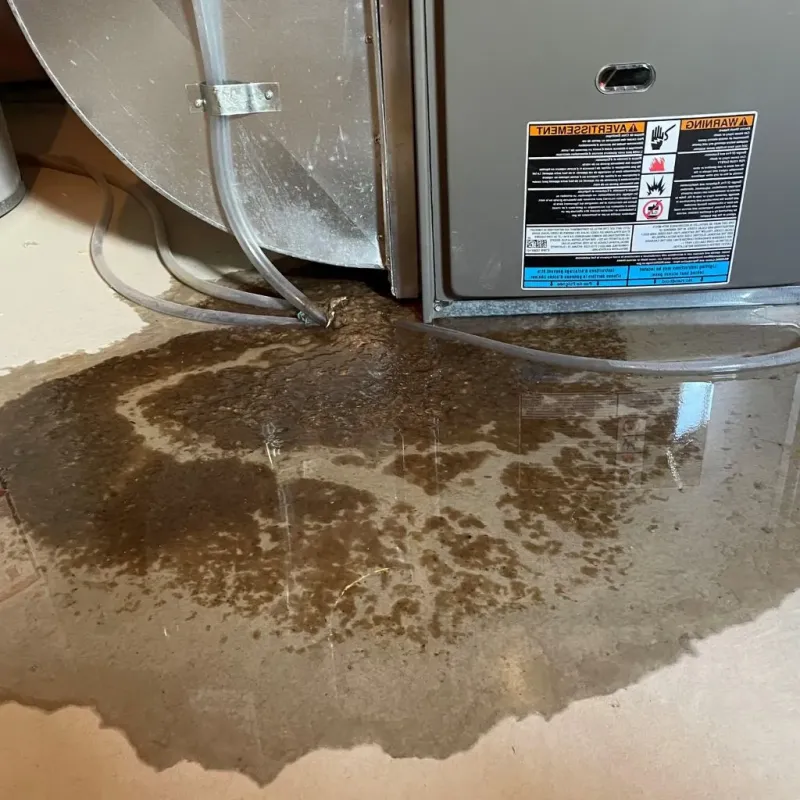 Pipe Burst and Leak Restoration in Starbuck, MN