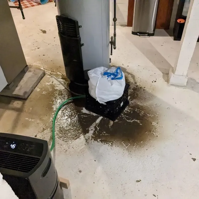 Sewage Backup Cleanup Service in Starbuck, MN